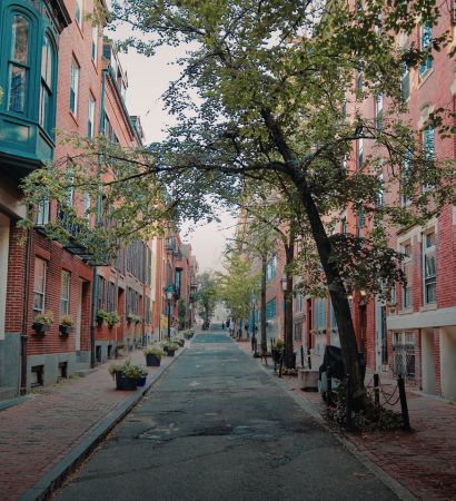 treelined street in boston ma
